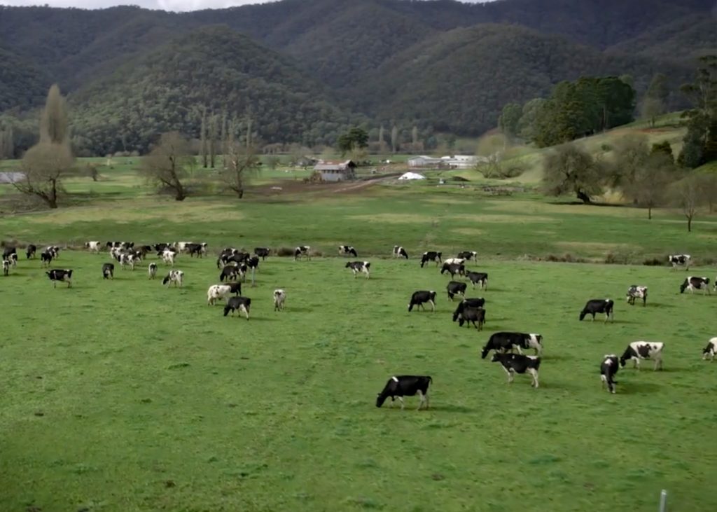 five:am Organic Yoghurt Aerial Cinematography