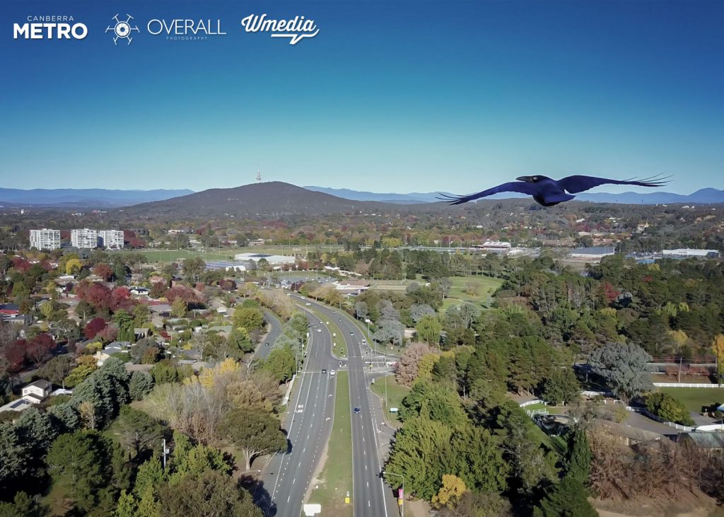 Canberra Light Rail Project