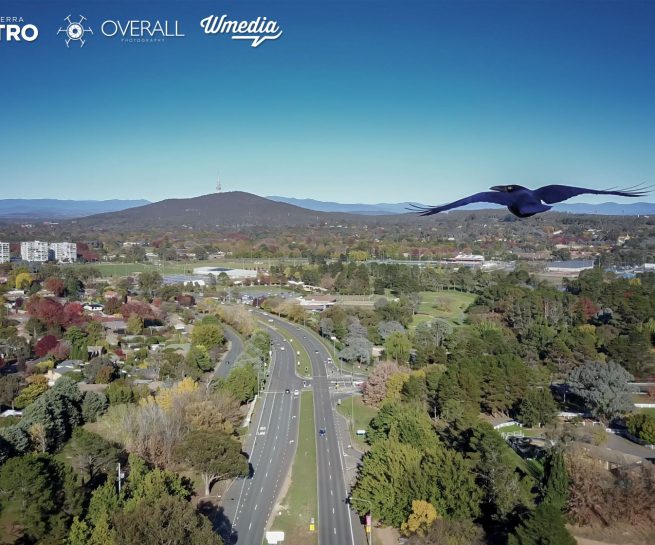Canberra Light Rail Project