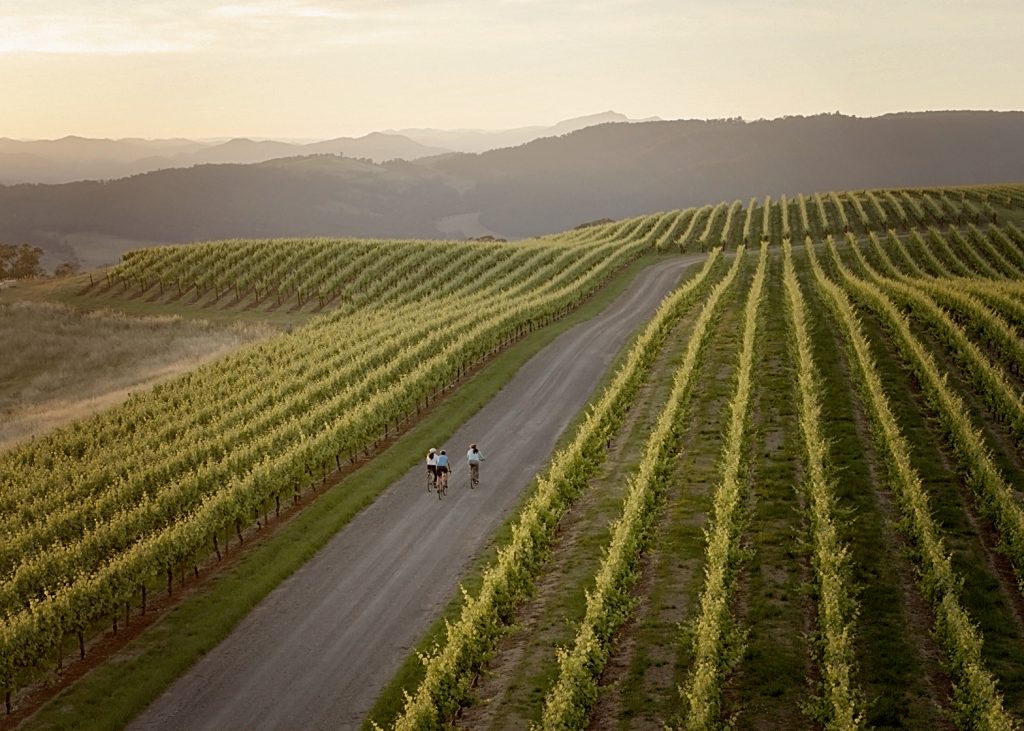 King Valley Wineries